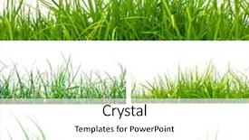  Presentation with white green - Presentation featuring fresh spring green grass background and a white colored foreground