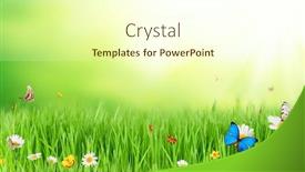  Presentation with butterflies - Theme featuring free easter - fresh spring meadow with butterflies background and a cream colored foreground