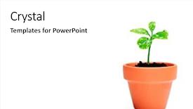  Presentation with fresh start - Colorful presentation enhanced with fresh start - little plant in small flower backdrop and a white colored foreground