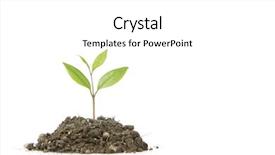  Presentation with fresh start - Audience pleasing presentation theme consisting of fresh start - small plant in a mound backdrop and a white colored foreground