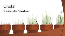  Presentation with go grow and glow - Amazing presentation having fresh start - watching grass grow backdrop and a white colored foreground