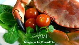  Presentation with crab - Beautiful presentation theme featuring fresh-steamed-crab-served backdrop and a forest green colored foreground