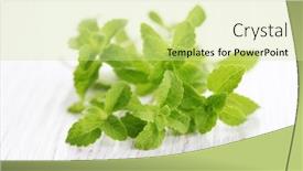  Presentation with sugar - Presentation design featuring fresh-stevia-natural-sugar-herbs background and a blonde colored foreground