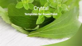  Presentation with abstract natural fresh green - Beautiful slide set featuring fresh stevia natural sugar - herbs backdrop and a tawny brown colored foreground