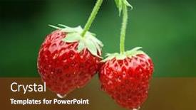  Presentation with strawberries - Cool new presentation theme with fresh-strawberries-on-green-background backdrop and a crimson colored foreground