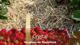  Presentation with strawberry - Audience pleasing slides consisting of fresh-strawberry-inside-basket backdrop and a tawny brown colored foreground