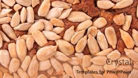  Presentation with sunflower - Slides having fresh sunflower seeds on a bread background background and a coral colored foreground