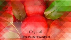  Presentation with abstract red - Audience pleasing PPT layouts consisting of fresh-sweet-red-apples-abstract backdrop and a coral colored foreground
