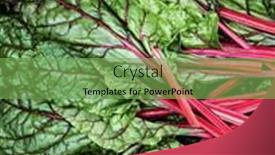  Presentation with swiss chard - Slide deck having fresh-swiss-chard-in-garden background and a seafoam green colored foreground