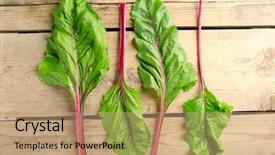  Presentation with swiss chard - Slides with fresh swiss chard on wooden background and a  colored foreground