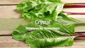  Presentation with swiss chard - PPT theme enhanced with fresh swiss chard on wooden background and a  colored foreground