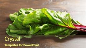  Presentation with swiss chard - Colorful presentation enhanced with fresh swiss chard on wooden backdrop and a tawny brown colored foreground