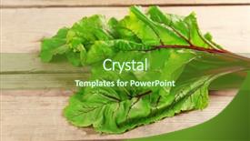  Presentation with swiss chard - Slide deck having fresh swiss chard on wooden background and a  colored foreground