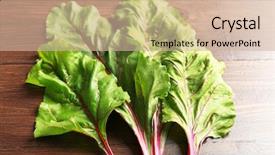 Presentation with swiss chard - Slides with fresh swiss chard on wooden background and a soft green colored foreground