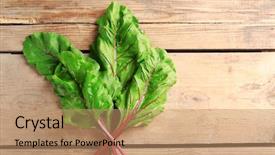  Presentation with swiss chard - Theme having fresh swiss chard on wooden background and a coral colored foreground