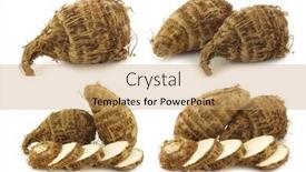  Presentation with colocasia - Colorful slide deck enhanced with fresh-taro-roots-colocasia backdrop and a coral colored foreground