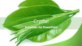  Presentation with tea leaves - 