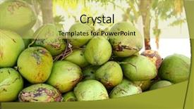  Presentation with tender coconut - Amazing slides having fresh tender coconuts green mound backdrop and a yellow colored foreground