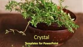  Presentation with thyme - 