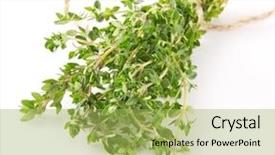  Presentation with fresh ginger root on white - Slide set featuring fresh thyme on white background background and a yellow colored foreground