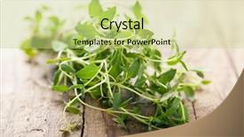  Presentation with thyme - PPT theme enhanced with fresh thyme on wooden background background and a soft green colored foreground