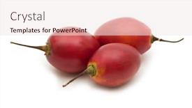  Presentation with fresh ginger root on white - Beautiful presentation theme featuring fresh-tomarillo-on-white-background backdrop and a sky blue colored foreground