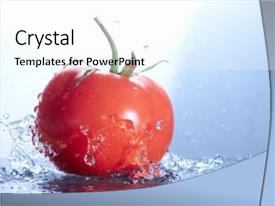 Fresh Tomato PPT template 93 | CrystalGraphics