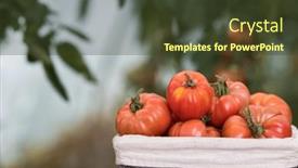  Presentation with wicker - 