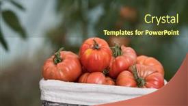  Presentation with wicker - 