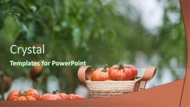  Presentation with wicker - 