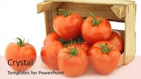  Presentation with wooden - Cool new PPT theme with  backdrop and a  colored foreground