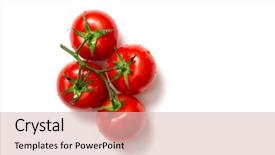  Presentation with bunch - Slide set consisting of fresh tomatoes isolated on white background and a lemonade colored foreground