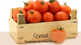  Presentation with tomato plant - Slide deck enhanced with fresh tomatoes on the vine background and a yellow colored foreground