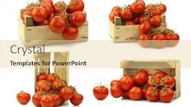  Presentation with vine - Slide set consisting of fresh-tomatoes-on-the-vine background and a blonde colored foreground