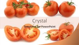  Presentation with vine - PPT theme consisting of fresh-tomatoes-on-the-vine background and a coral colored foreground