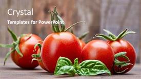  Presentation with leaf water drops fresh - Presentation consisting of fresh tomatoes with leaf basil at old wooden board in rustic style vegetable still life harvest background and a coral colored foreground