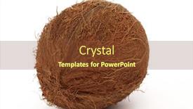  Presentation with coconut - Amazing slides having fresh-tropical-coconut-isolated backdrop and a tawny brown colored foreground