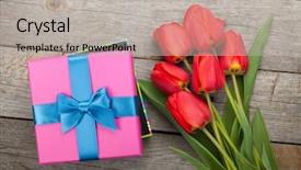  Presentation with tulips - Theme with fresh tulips and gift box background and a light gray colored foreground