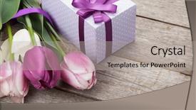  Presentation with an open gift box - Amazing PPT theme having fresh tulips with gift box backdrop and a light gray colored foreground