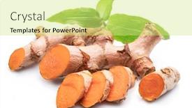  Presentation with turmeric - PPT theme having fresh-turmeric-rhizome-and-turmeric background and a soft green colored foreground