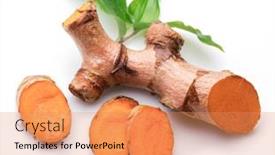  Presentation with turmeric - Audience pleasing presentation design consisting of fresh-turmeric-rhizome-and-turmeric backdrop and a coral colored foreground