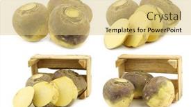  Presentation with wooden - Slide deck having fresh-turnip-brassica-rape-rapa background and a yellow colored foreground
