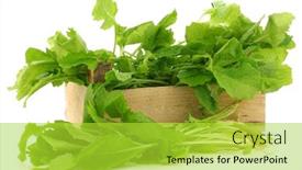  Presentation with wooden - Presentation theme consisting of fresh-turnip-tops-turnip-greens background and a yellow colored foreground