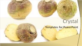  Presentation with fresh cut fruits vegetables - Cool new PPT layouts with fresh-turnips-brassica-rapa-rapa backdrop and a blonde colored foreground