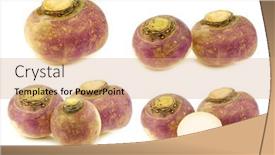  Presentation with fresh ginger root on white - Theme enhanced with fresh-turnips-on-a-white background and a coral colored foreground