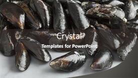  Presentation with shell - Presentation design enhanced with fresh uncooked common mussels in the shell background and a dark gray colored foreground