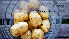  Presentation with potato - Colorful slide set enhanced with fresh uncooked potatoes in wire backdrop and a ocean colored foreground