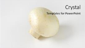  Presentation with button mushroom fresh mushroom - Presentation theme enhanced with fresh unpeeled champignon mushroom background and a white colored foreground