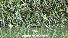  Presentation with unripe - 