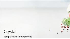  Presentation with concrete - Audience pleasing slides consisting of fresh vegetables over concrete background backdrop and a white colored foreground